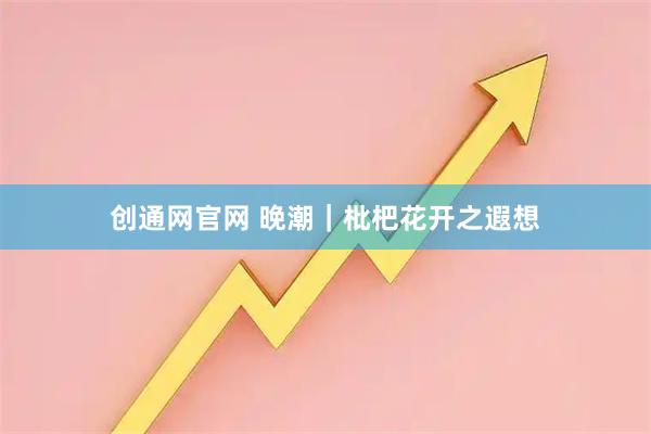 创通网官网 晚潮|枇杷花开之遐想