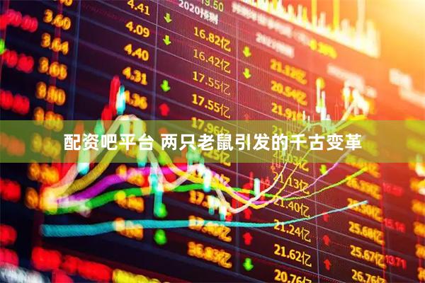 配资吧平台 两只老鼠引发的千古变革