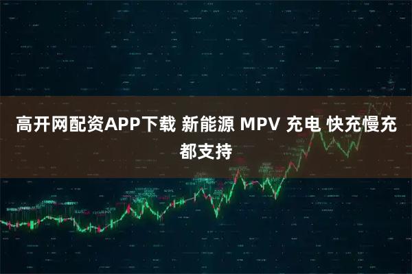高开网配资APP下载 新能源 MPV 充电 快充慢充都支持